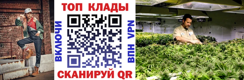 Купить наркотики сайты Правдинск Псилоцибиновые грибы  МАРИХУАНА  NBOMe  ГАШ  Кокаин  Меф мяу мяу 