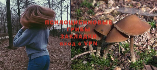 ALPHA PVP Арсеньев