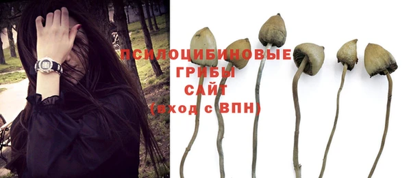 МДПВ Аркадак